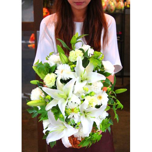 ���炩�Ȕ��������u�������A�������[�v�z���C�gR10ARW2