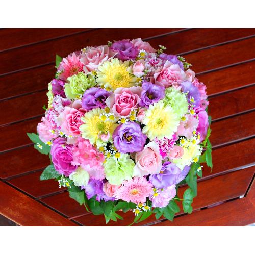 �Â����~����ɖ��邢�F���u�p�X�e���A�����WLL�v