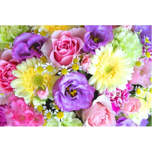 �Â����~����ɖ��邢�F���u�p�X�e���A�����WLL�v2