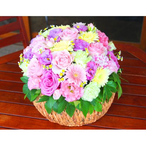 �Â����~����ɖ��邢�F���u�p�X�e���A�����WLL�v3