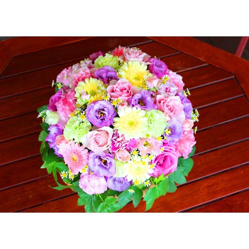 �Â����~����ɖ��邢�F���u�p�X�e���A�����WLL�v4