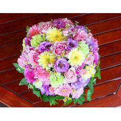 �Â����~����ɖ��邢�F���u�p�X�e���A�����WLL�v