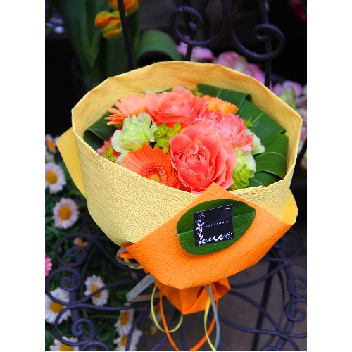 ����ς��K�N�I�u�I�����W���[�Y�E�u�[�PM�v4