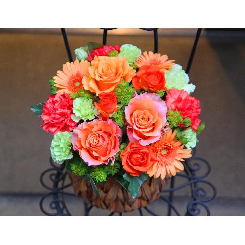 ���̓��yLe Rose(�� ���[�[�jL �I�����W�z2