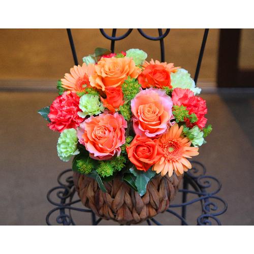 ���̓��yLe Rose(�� ���[�[�jL �I�����W�z3