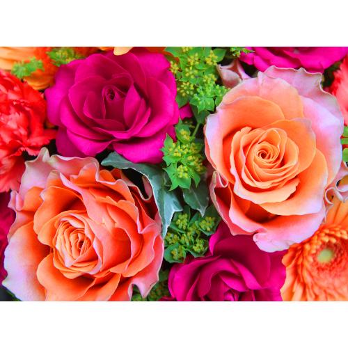 ���̓��yLe Rose(�� ���[�[�jL �r�r�b�h�z3