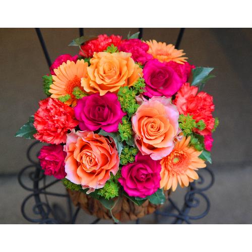 ����ς�o���I�yLe Rose(�� ���[�[�j�k �r�r�b�h�z