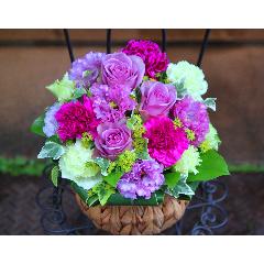����ς�o���I�yLe Rose(�� ���[�[�j�k�@�p�[�v���z