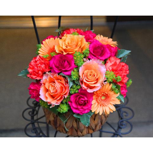 ����ς�o���I�yLe Rose(�� ���[�[�j�k �r�r�b�h�z4