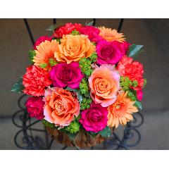 ����ς�o���I�yLe Rose(�� ���[�[�j�k �r�r�b�h�z