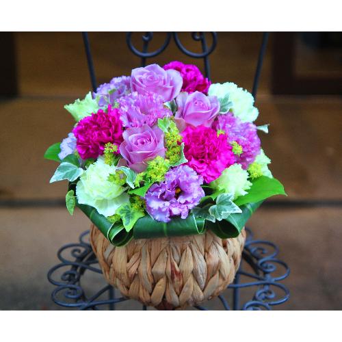 ����ς�o���I�yLe Rose(�� ���[�[�j�k�@�p�[�v���z2