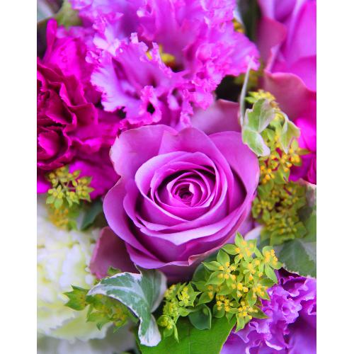 ����ς�o���I�yLe Rose(�� ���[�[�j�k�@�p�[�v���z3