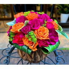 ����ς��K�N�I�y���[�Y�{�[�� M �r�r�b�h�z