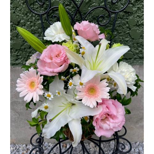 ���炩�Ȕ��������u�������A�������[�v�s���NR06ARP