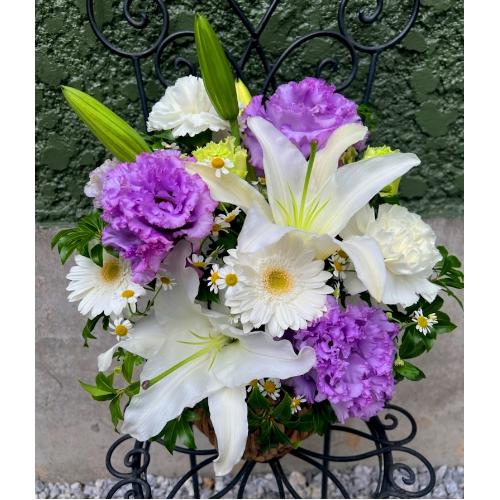 ���炩�Ȕ��������u�������A�������[�v�p�[�v��R06ARV
