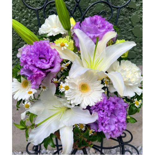 ���炩�Ȕ��������u�������A�������[�v�p�[�v��R06ARV2