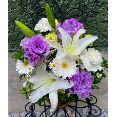 ���炩�Ȕ��������u�������A�������[�v�p�[�v��R06ARV