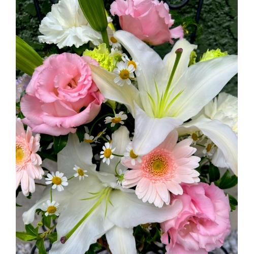 ���炩�Ȕ��������u�������A�������[�v�s���NR06ARP3