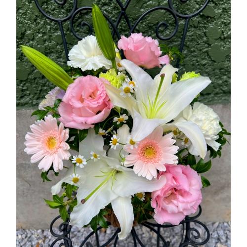���炩�Ȕ��������u�������A�������[�v�s���NR06ARP4