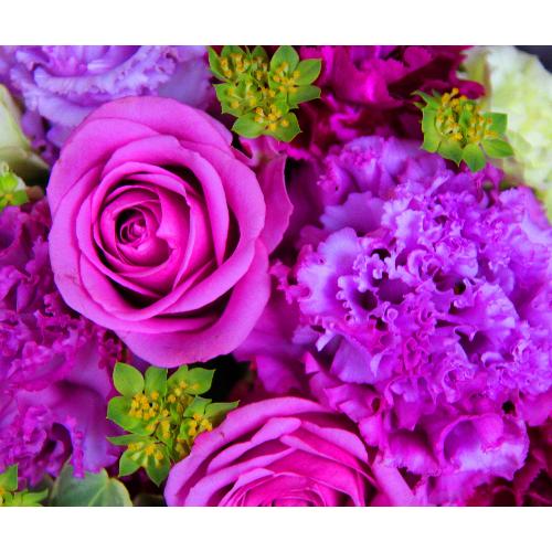 ����ς��K�N�I�yLe Rose(�� ���[�[�jM �p�[�v��2