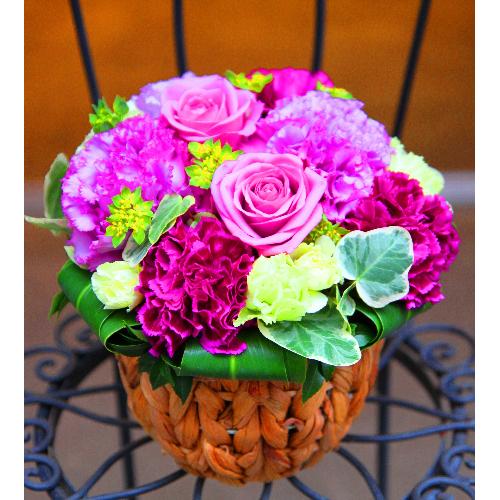 ����ς��K�N�I�yLe Rose(�� ���[�[�jM �p�[�v��3