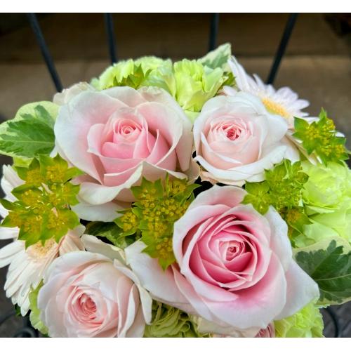 ����ς�o���I�yLe Rose(�� ���[�[�jM �p�X�e���z4