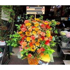 ���\��E�R���T�[�g�u�I�����W���[�Y�A�����WLL�v