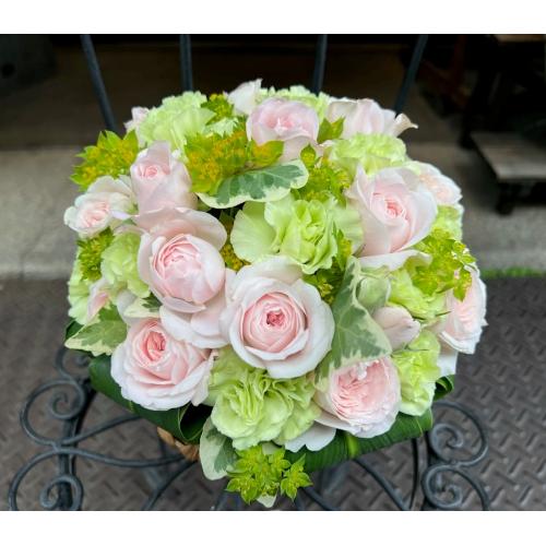 ����ς��K�N�I�y���[�Y�{�[�� M �p�X�e���z