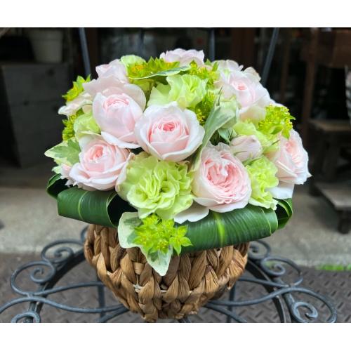 ����ς��K�N�I�y���[�Y�{�[�� M �p�X�e���z5