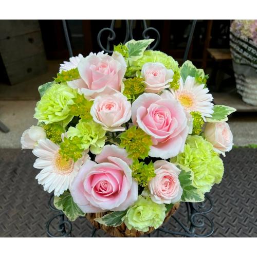 ����ς��K�N�I�yLe Rose(�� ���[�[�j�k �p�X�e���z