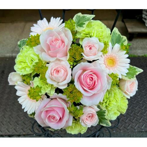 ����ς��K�N�I�yLe Rose(�� ���[�[�j�k �p�X�e���z2