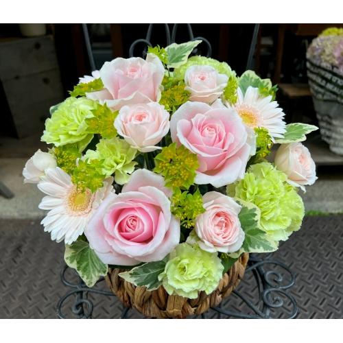 ����ς��K�N�I�yLe Rose(�� ���[�[�j�k �p�X�e���z3