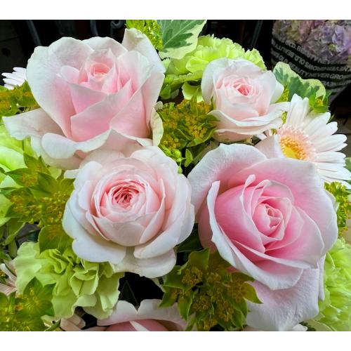 ����ς��K�N�I�yLe Rose(�� ���[�[�j�k �p�X�e���z4