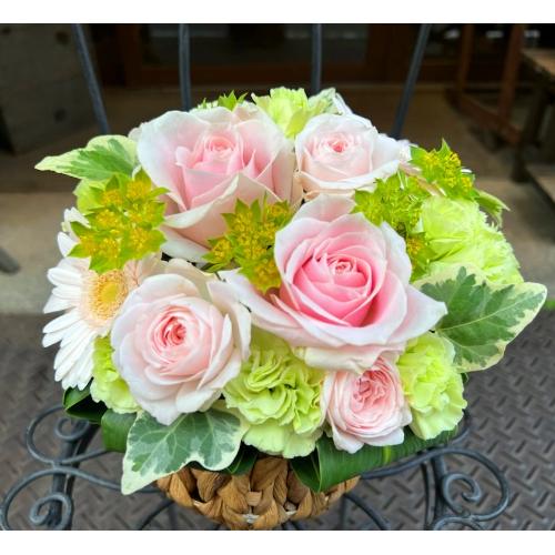 ����ς�o���I�yLe Rose(�� ���[�[�jM �p�X�e���z2