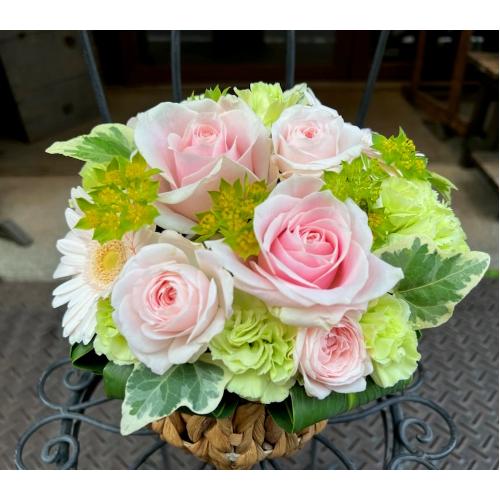 ����ς�o���I�yLe Rose(�� ���[�[�jM �p�X�e���z3