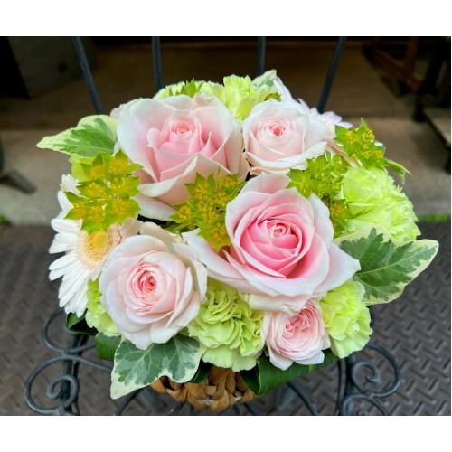 ����ς�o���I�yLe Rose(�� ���[�[�jM �p�X�e���z4