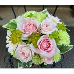 ����ς�o���I�yLe Rose(�� ���[�[�jM �p�X�e���z
