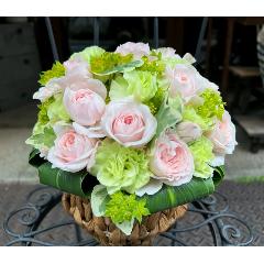 ����ς��K�N�I�y���[�Y�{�[�� M �p�X�e���z
