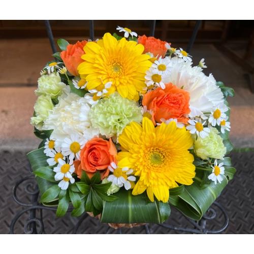 �y�b�g�̂����݁u�������A���v�z���C�g�E�C�G���[S2