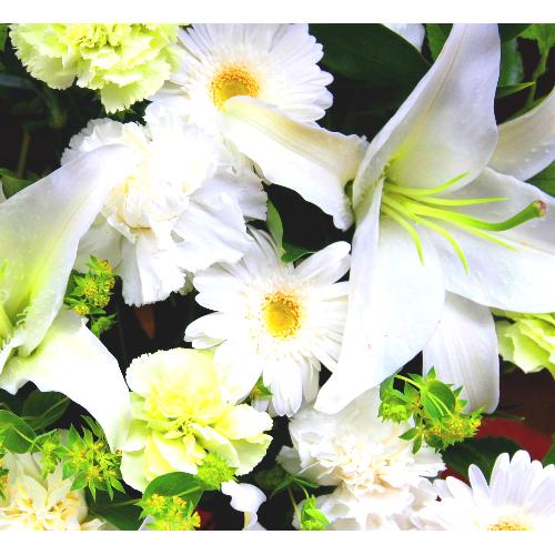 ���炩�Ȕ��������u�������A�������[�v�z���C�gR15ARW2