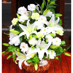 ���炩�Ȕ��������u�������A�������[�v�z���C�gR15ARW