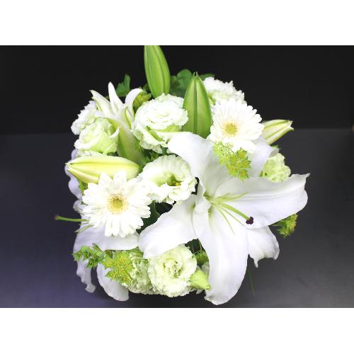 ���~�E�V�~�p�@���炩�Ȕ��������u�������A�������[�v�z���C�gR05ARW4