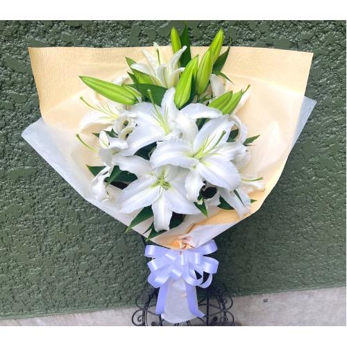 ���炩�Ȕ��������u�������A�������[�u�[�P�vR5B5