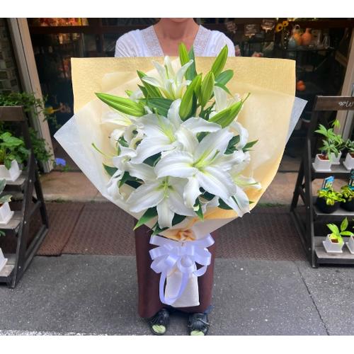 ���炩�Ȕ��������u�������A�������[�u�[�P�vR5B2