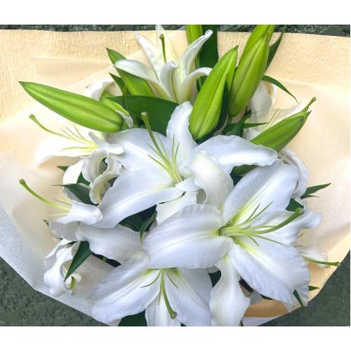 ���炩�Ȕ��������u�������A�������[�u�[�P�vR5B3