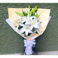 ���炩�Ȕ��������u�������A�������[�u�[�P�vR5B