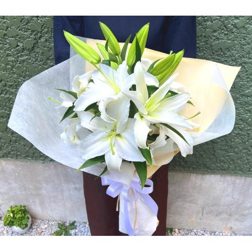 ���~�E�V�~�p�@���炩�Ȕ��������u�������A�������[�u�[�P�vR4B2
