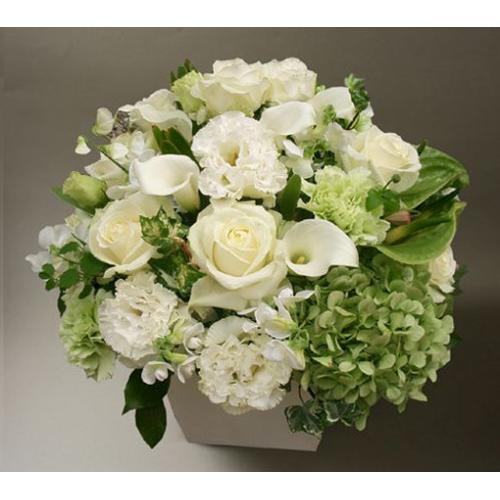 �I���W�i���A�����W�����g�k