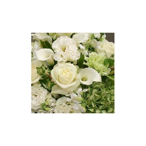 �I���W�i���A�����W�����g�k2