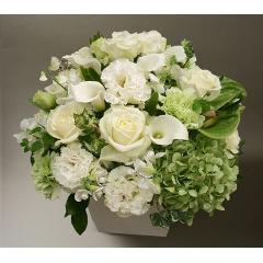 �I���W�i���A�����W�����g�k